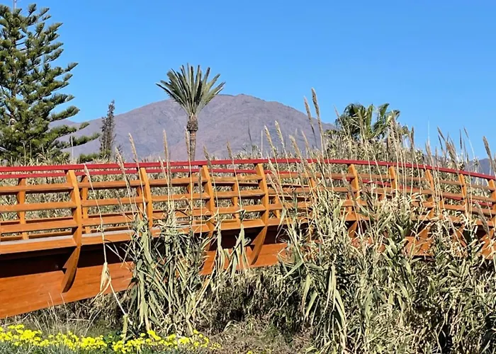 Apartment La Perla Del Mar Estepona